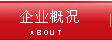 企业概况