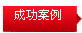 成功案例